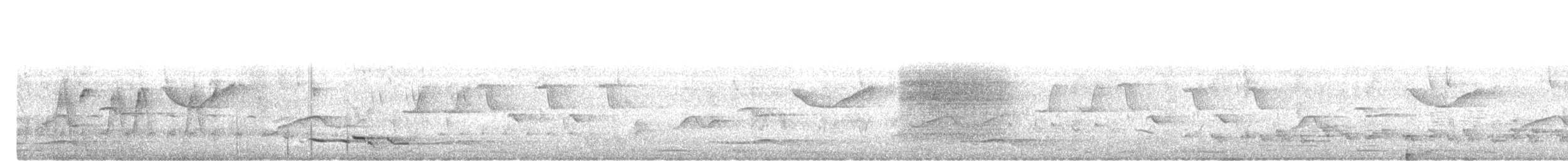 Black-naped Oriole - ML647507626