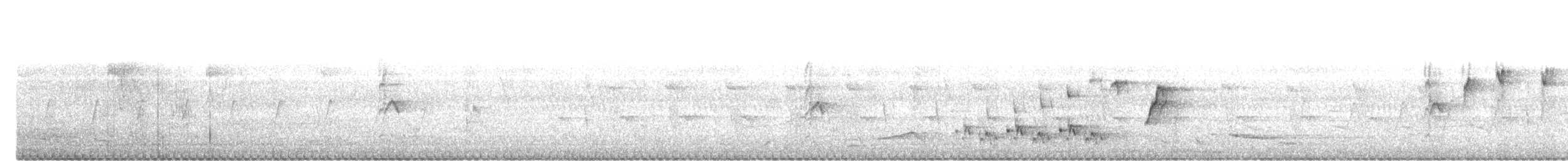 Malaysian Pied-Fantail - ML647507666