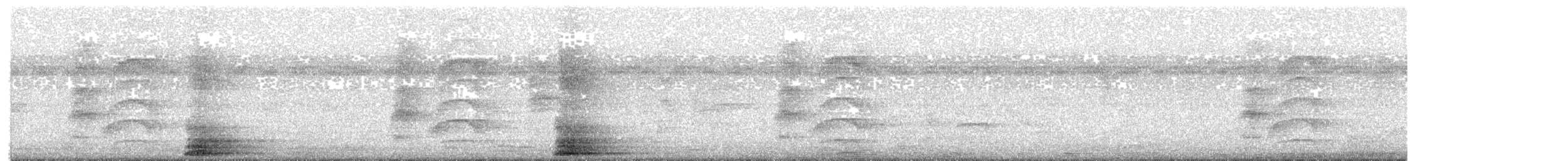 Great Kiskadee - ML647507772