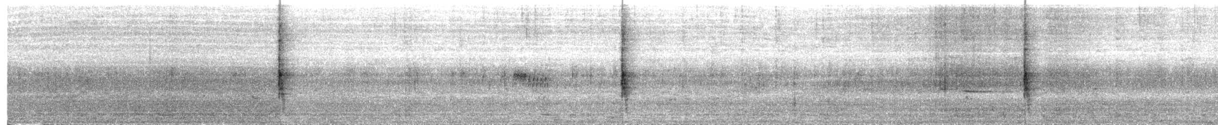 Northern Mockingbird - ML647507950