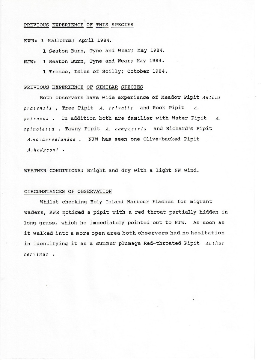 Red-throated Pipit - ML647508049