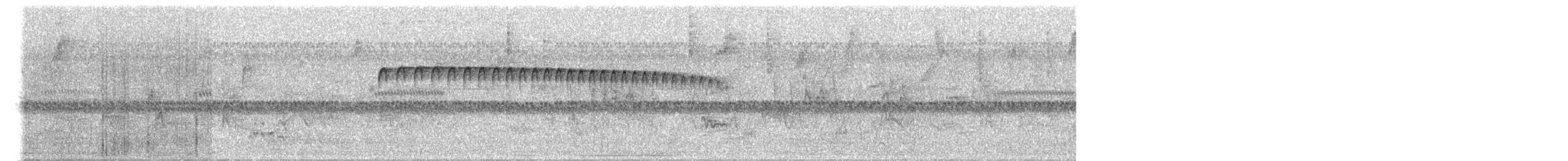 Ocellated Piculet - ML647508120