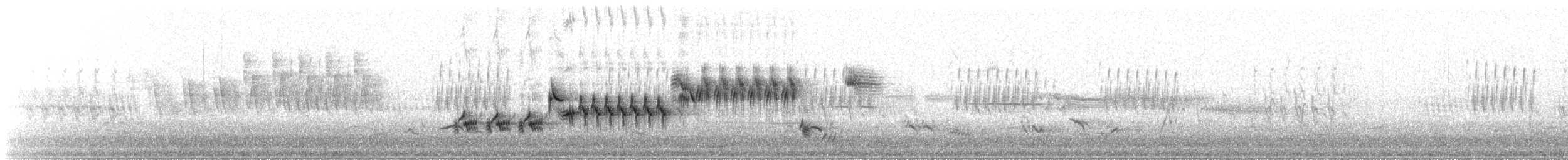 Lincoln's Sparrow - ML647509090