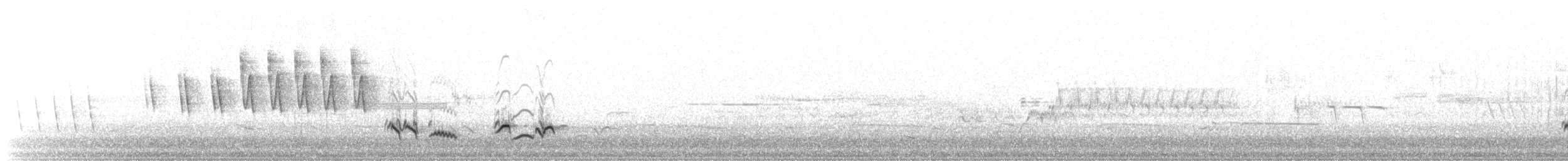 Дрізд мандрівний - ML647509575