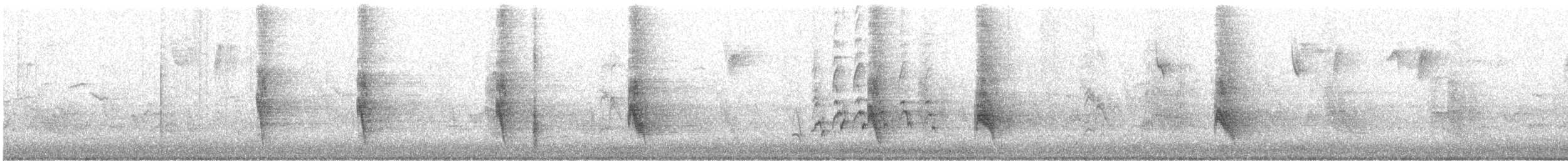 Пересмішник багатоголосий - ML647509608