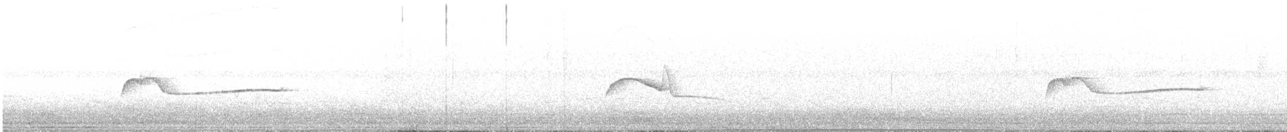 Eastern Wood-Pewee - ML647509643