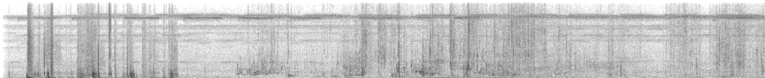 Dwarf Tyrant-Manakin - ML647509898