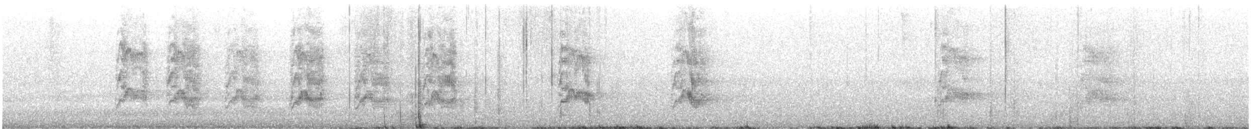 Loro Senil - ML647511686