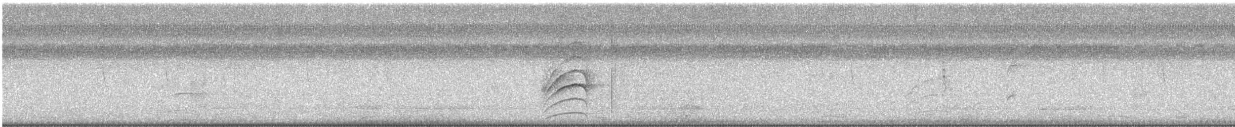 Roadside Hawk - ML647512511