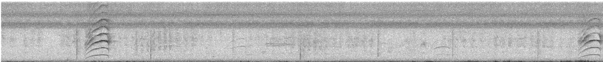 Great Kiskadee - ML647512520