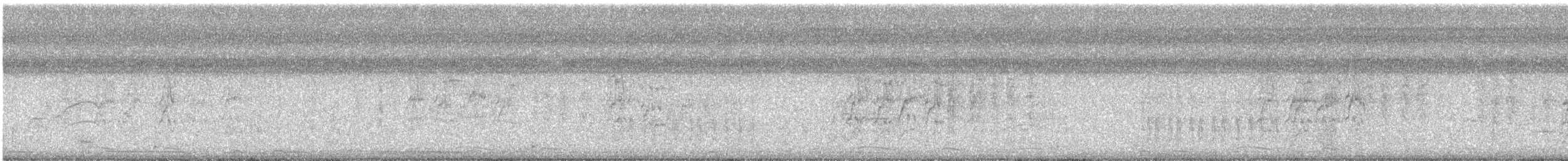 Great Kiskadee - ML647512521