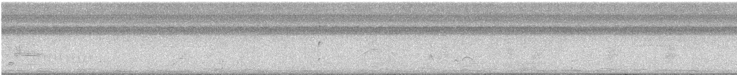 Tropical Kingbird - ML647512522