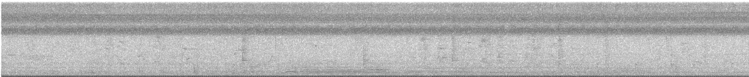 Great Kiskadee - ML647512897