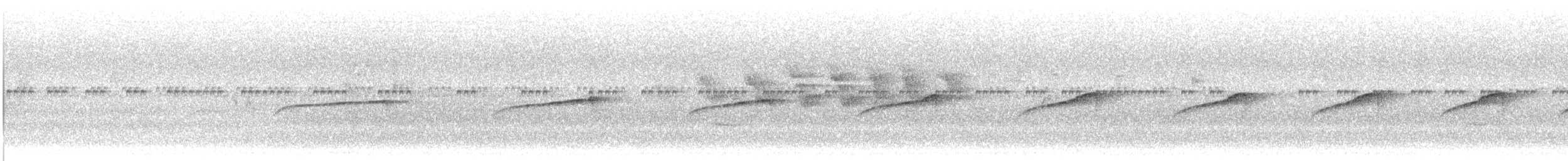 Lanceolated Monklet - ML647512980