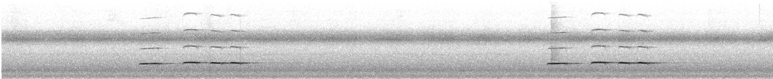 Pavonine Cuckoo - ML647513007