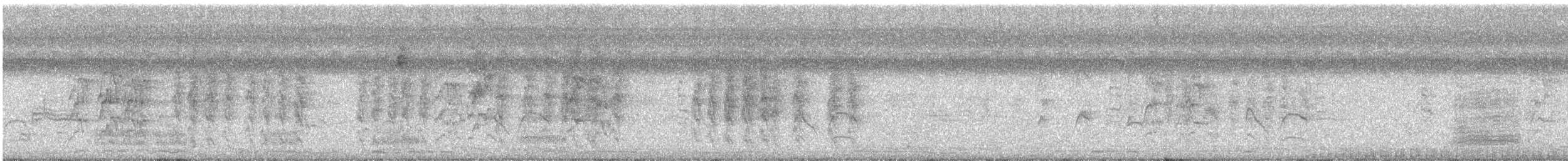 Little Blue Heron - ML647513077