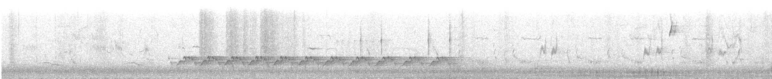 Carolina Wren - ML647513210