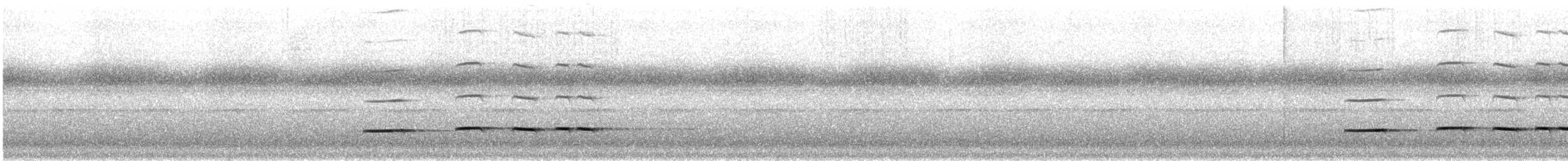 Pavonine Cuckoo - ML647513577