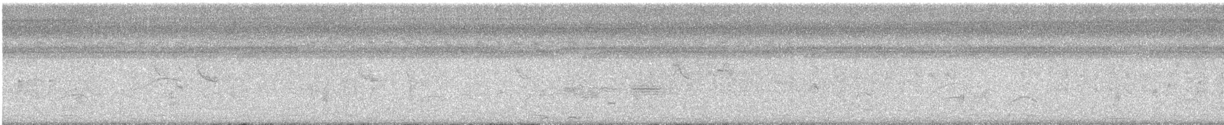 ハジロバト - ML647513787