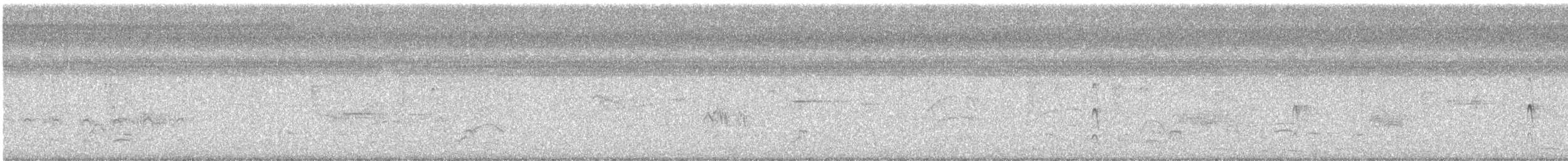 ハジロバト - ML647513788