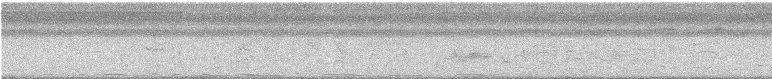 ハジロバト - ML647513790