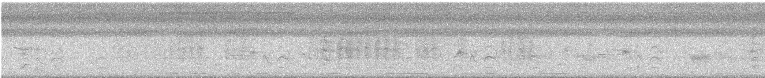 ハジロバト - ML647513791