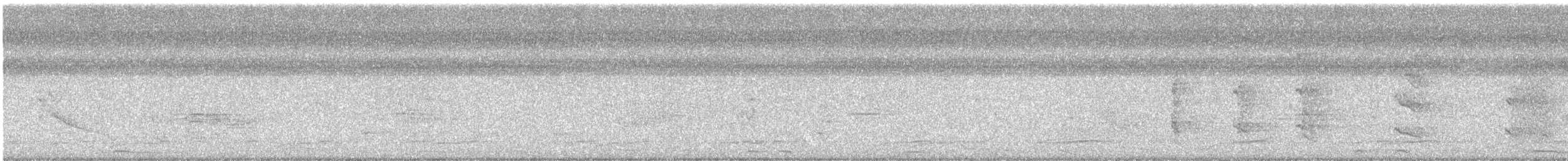 ハジロバト - ML647513792