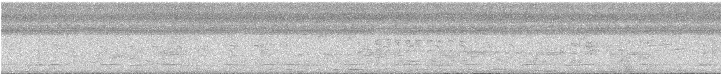 ハジロバト - ML647513795