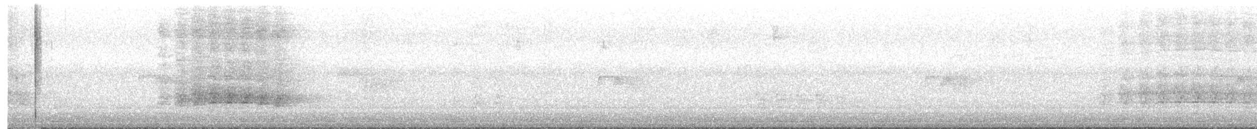 ヒスパニオラシマセゲラ - ML647513797