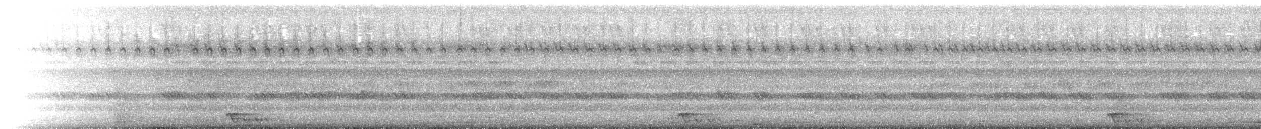 Jerdon's Nightjar - ML647514091