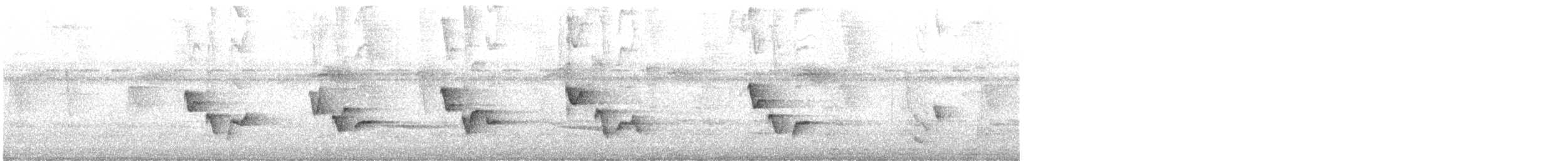 Riperyan Çıtkuşu - ML647515066