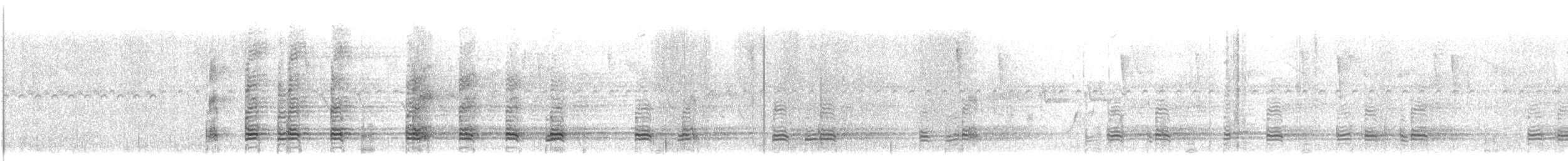 ibis bělokřídlý - ML647515132