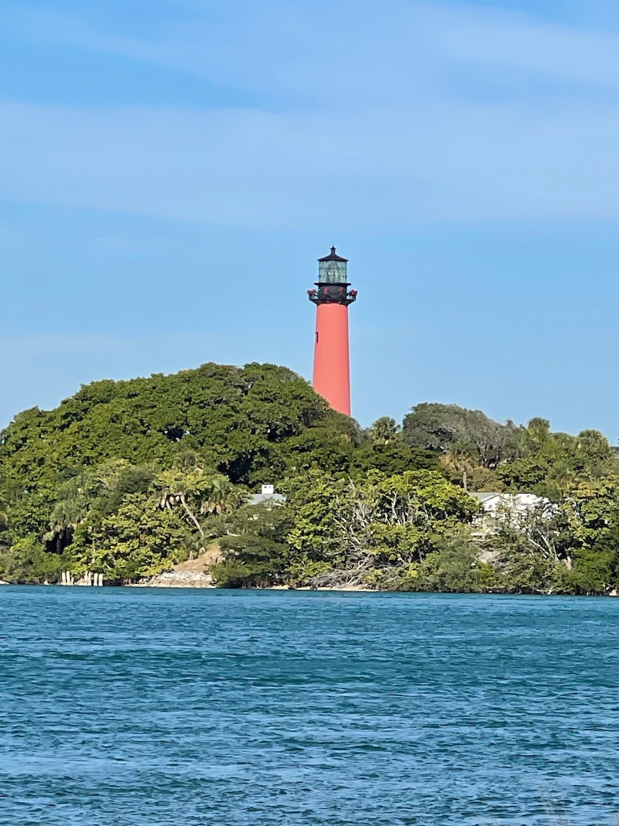 Blaureiher - ML647515438