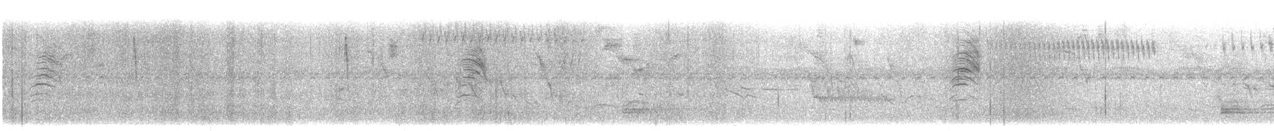 Tropikal Bitkuşu - ML647515450