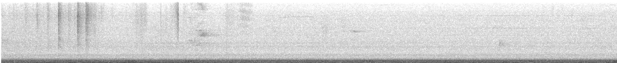 Rock Pigeon (Feral Pigeon) - ML647515734