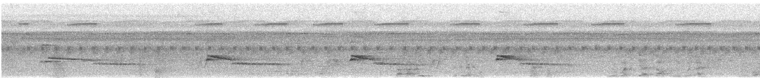 Kara Çaylak (aegyptius/parasitus) - ML647515826