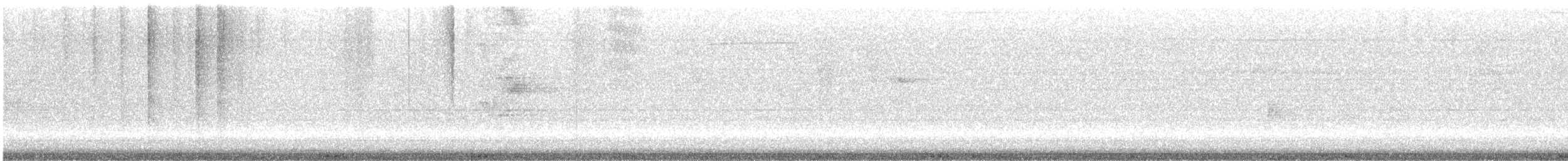 Kaya Güvercini (evcil tip) - ML647515842