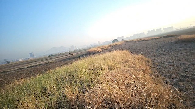 Suçulluğu - ML647516032