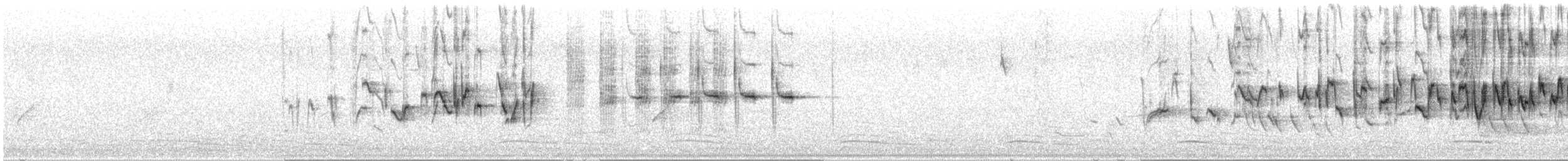 Cape Grassbird - ML647516617