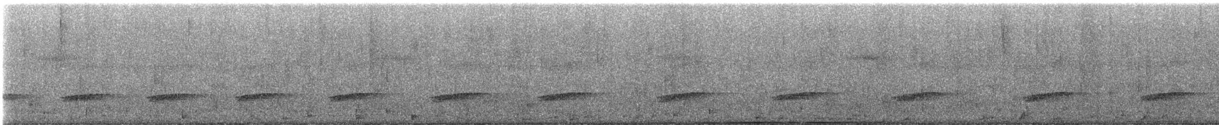 Kiwi Moteado Menor - ML647516802