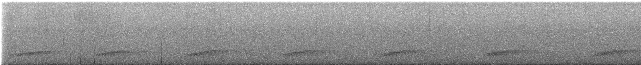 オオマダラキーウィ - ML647517070