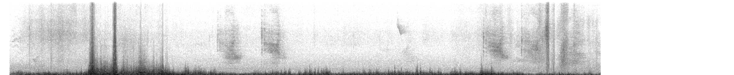 Steller's Jay - ML647518074