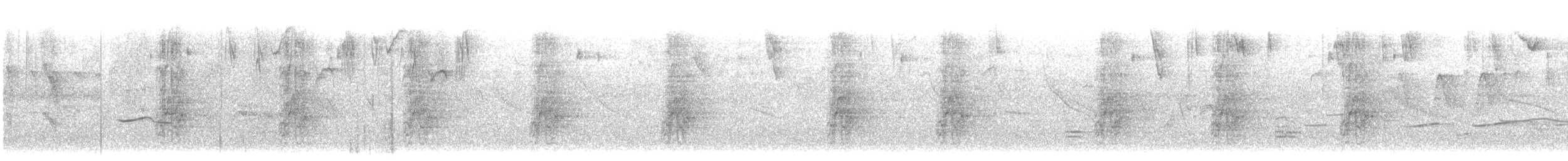 Loro Cabeciazul - ML647518608