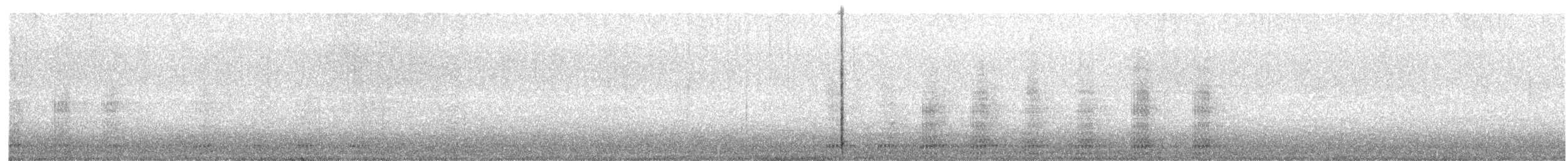 Common Raven - ML647519722