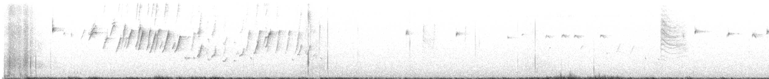 ノドグロヒメドリ - ML647519817