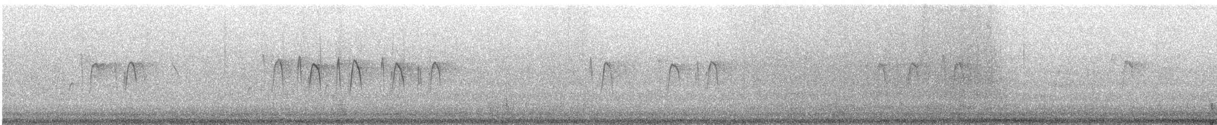 Barn Swallow (White-bellied) - ML647520098