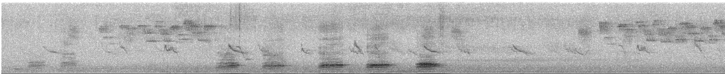 Pied Crow - ML647520178