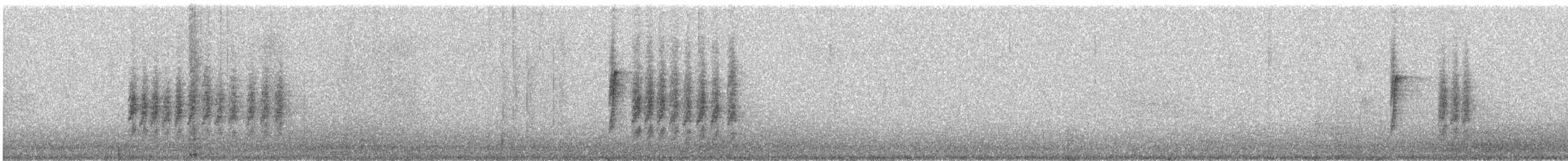 Синиця велика - ML647520276