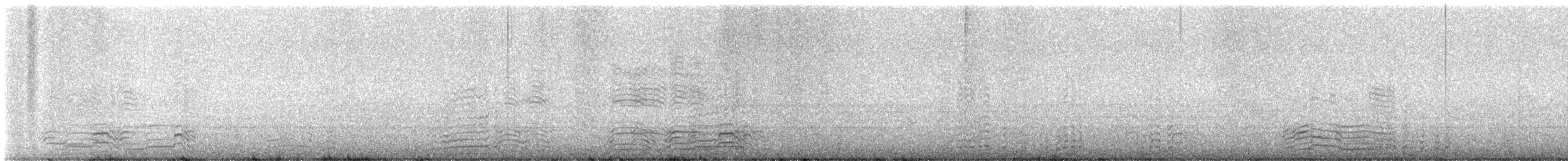 Long-tailed Duck - ML647520520