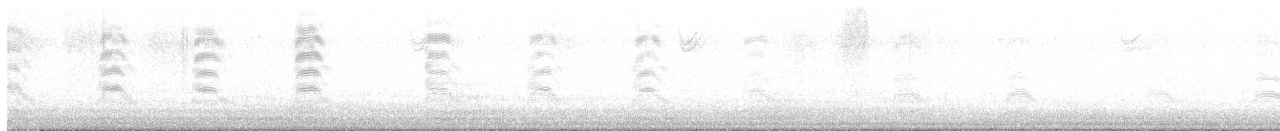 Bonaparte's Gull - ML647521015